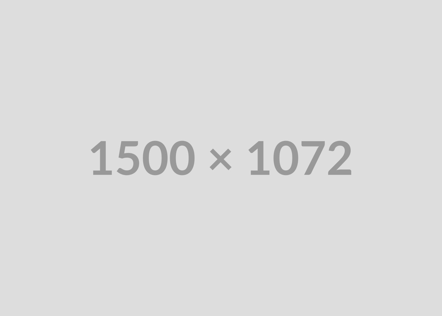 2147864016 (1)